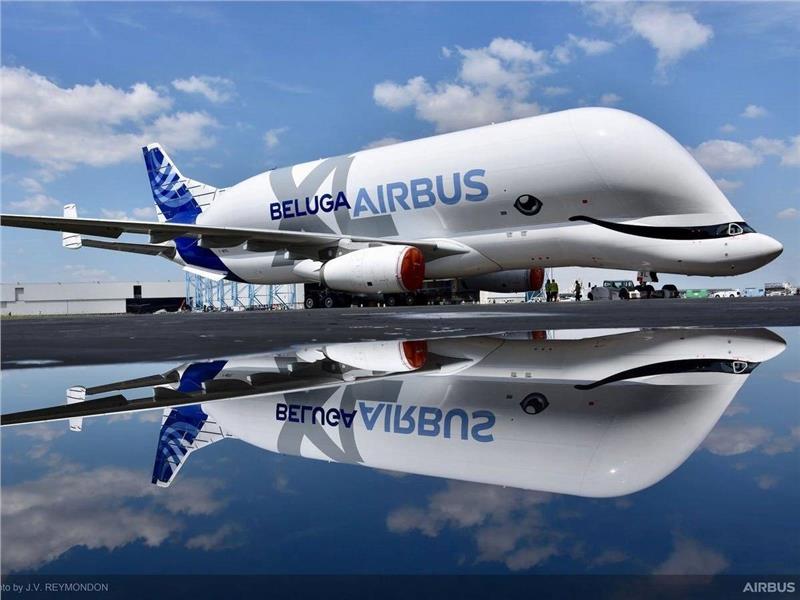 May bay Airbus Beluga XL 
