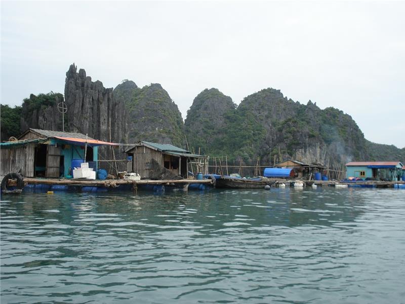 Tranquil scenery at Vung Vieng fishing village 1