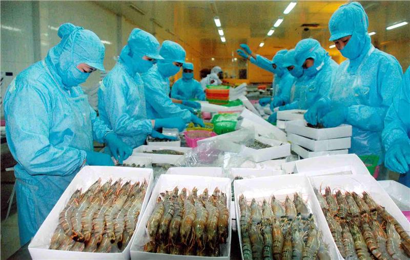 Seafood export in Binh Dinh