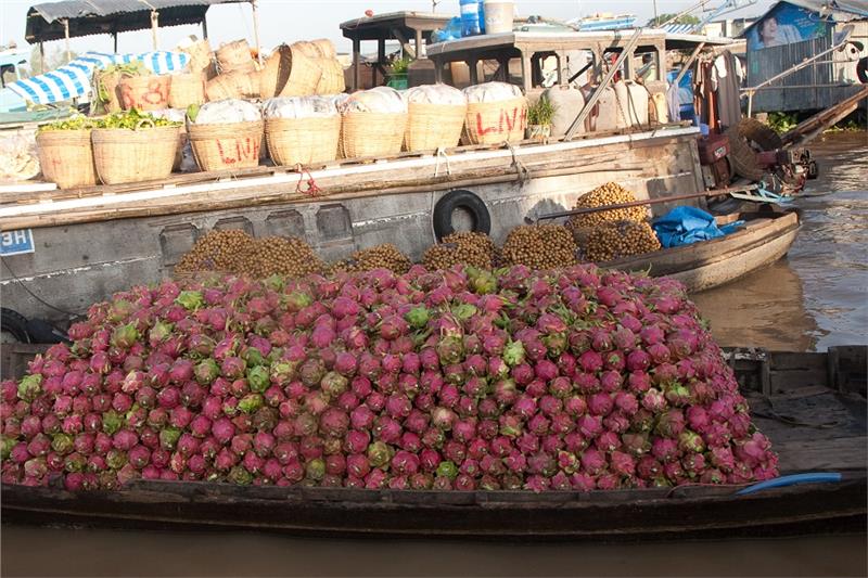 Agricultural products in Cai Rang Floating Market