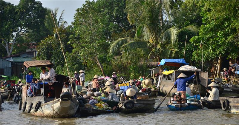 Trading activities in Phong Dien floating market