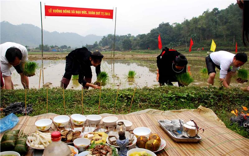 Offerings of Long Tong Festival in Cao Bang