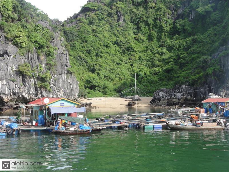 Fishing Village in Cat Ba