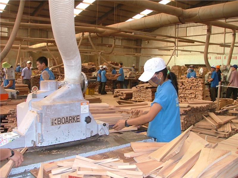 Wood export in Dak Lak