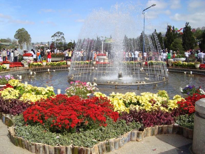 Dalat Flower Festival attracts a great number of tourists