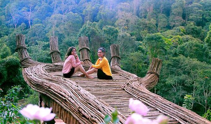 Bạn biết gì về Hoa Sơn Điền Trang Đà Lạt?