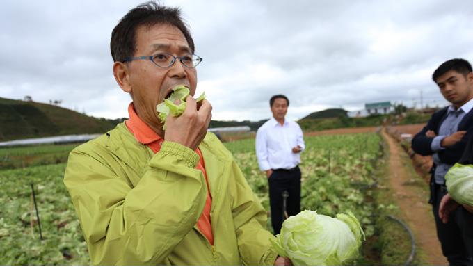 Experts checking vegetable