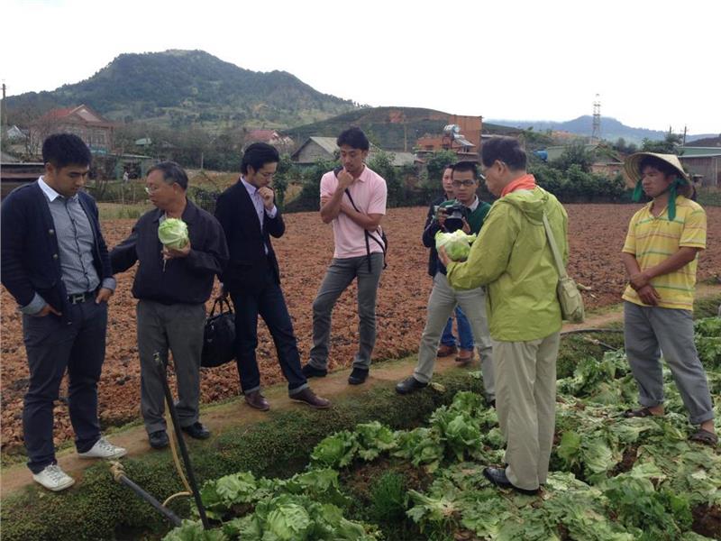Dalat vegetable hopes to improve with Japanese model