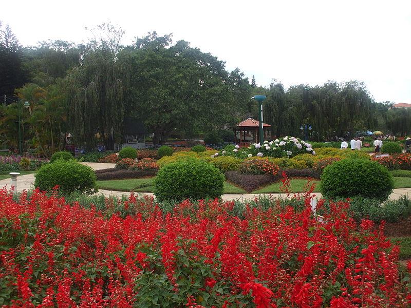 Colorful flowers in Dalat Flower Park