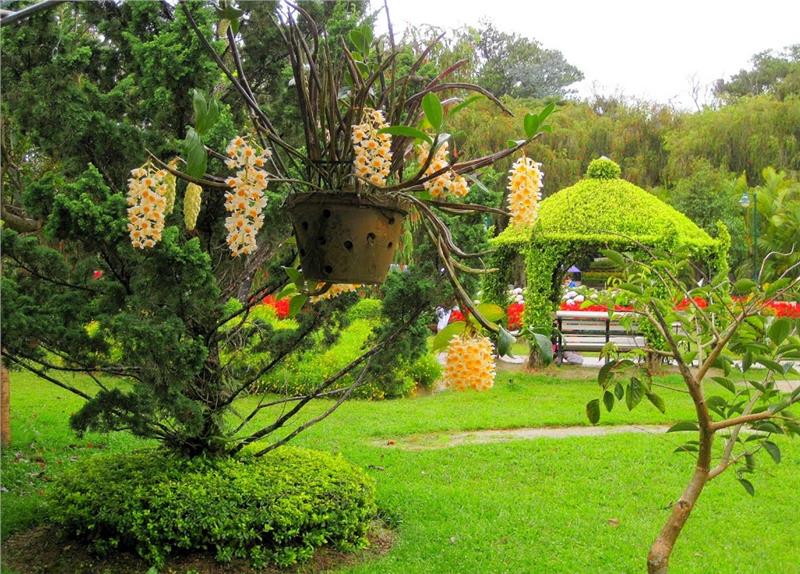 Magnificent scenery in Dalat Flower Park