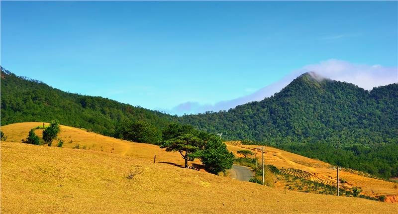 Lang Biang mountain in Dalat