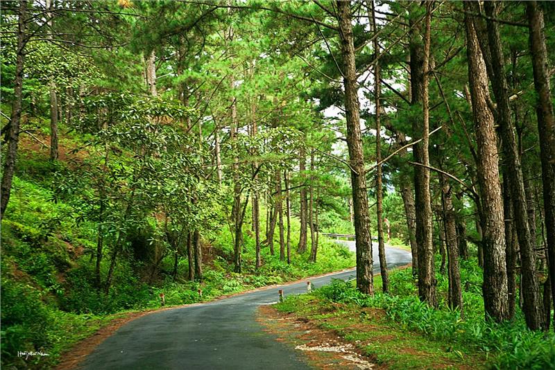 Road to Lang Biang - Dalat
