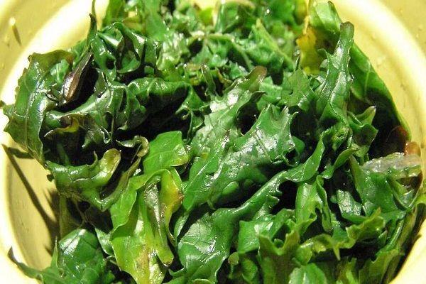 Rau Hoa Ban Rau Hoa Ban