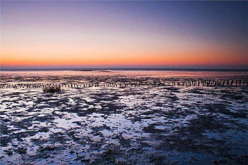 Biển Wadden