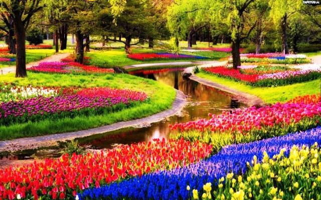 Cánh đồng hoa Keukenhof