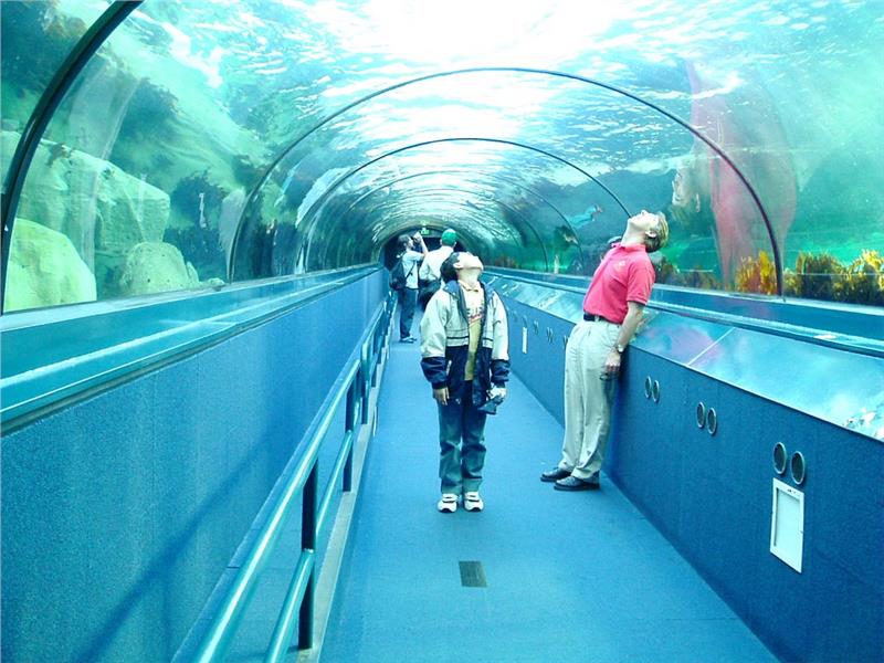 Bảo tàng động vật biển