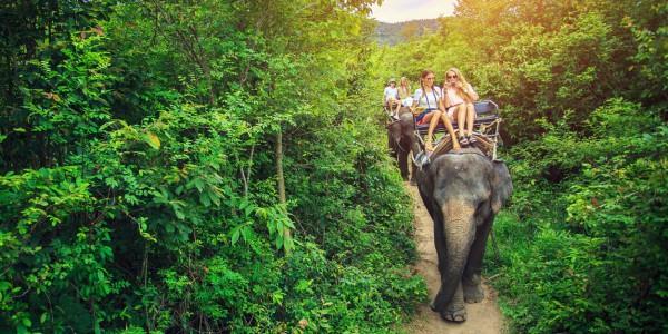 Công viên voi ở Chiang Mai Công viên voi ở Chiang Mai