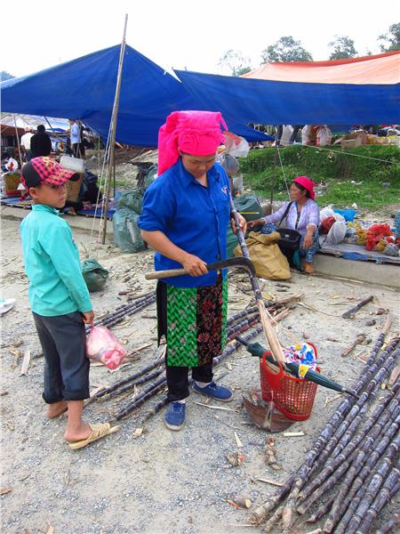 A Hmong woman at Dong Van market