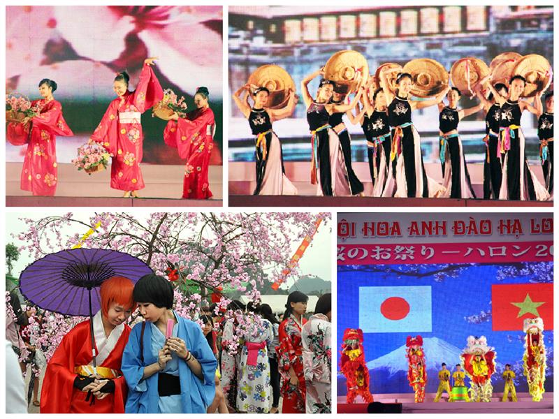 Activities in Halong Cherry Blossom Festival