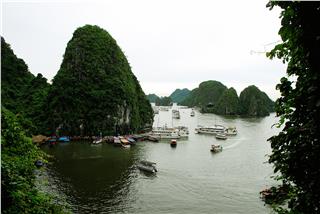 Develop Halong Bay tourism in heritage conservation