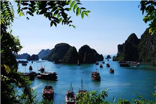 Halong overview