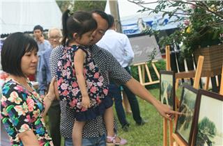 Halong Carnival 2014 exhibits antique Halong Bay photos