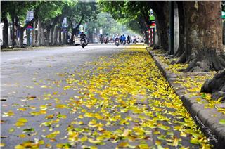 Hanoi autumn brings best romantic time