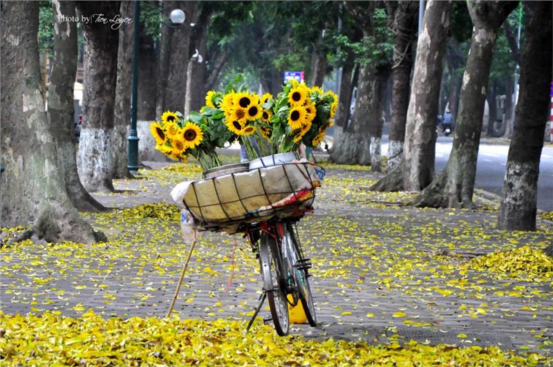 Hanoi in autumn