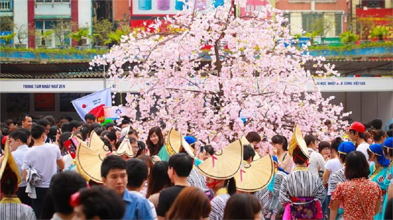 Cherry Blossom Festival in Hanoi