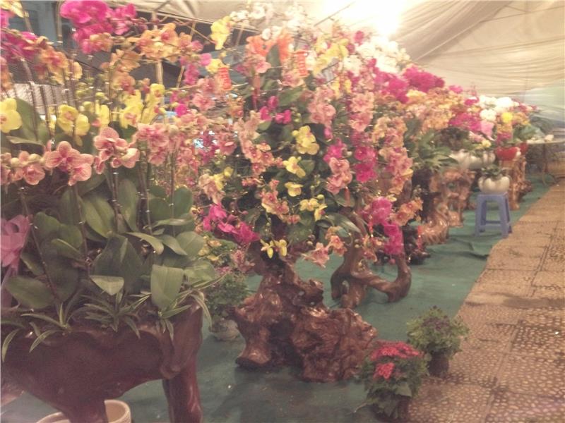 Flower Booth in Spring Agricultural Fair 2015