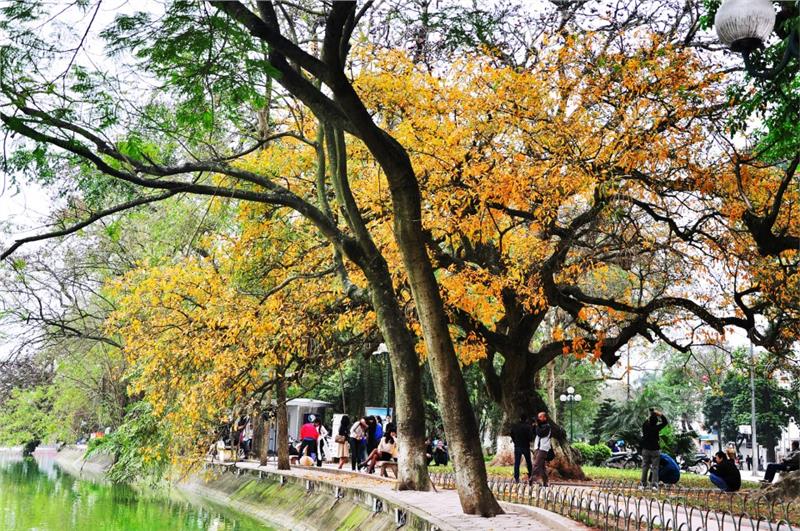 The colorful beauty of Vietnam Autumn