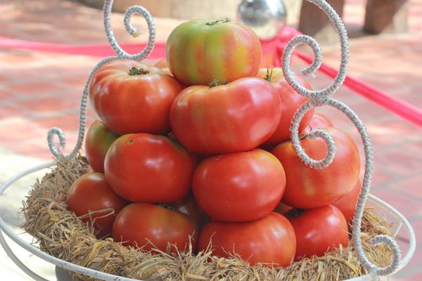 Fresh tomatoes from Dalat