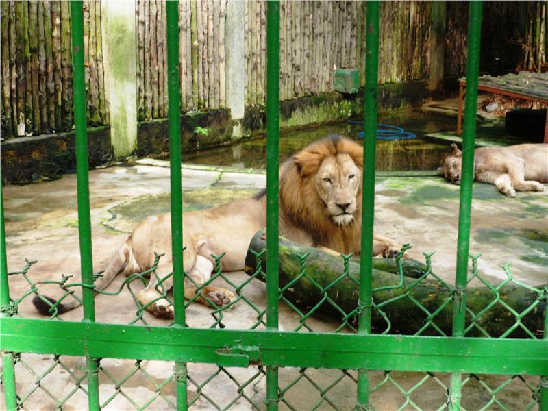 Inside Saigon Zoo and Botanical Gardens