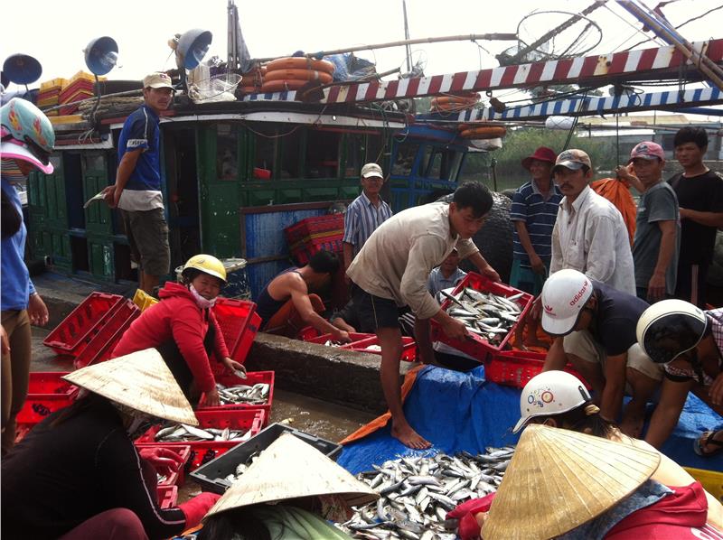 Fishery is developed in Hue