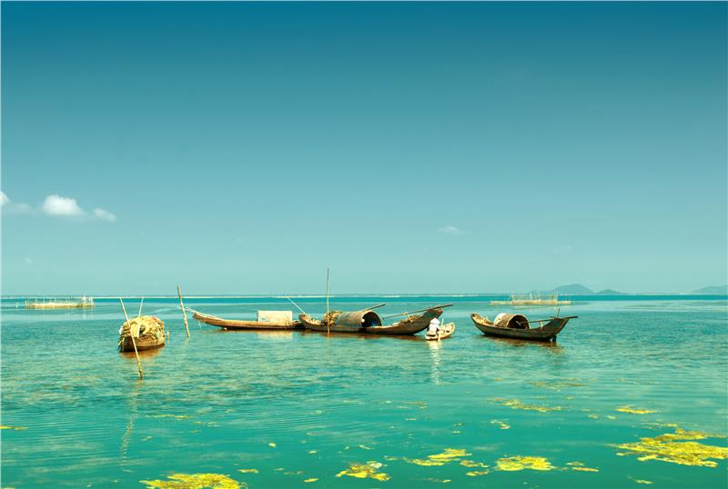 Tam Giang lagoon - Hue