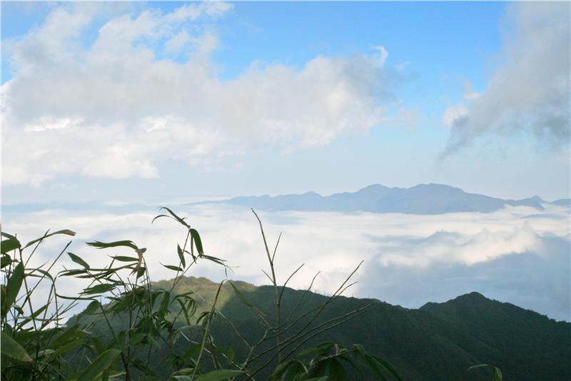 Fansipan Mountain in the thick fog