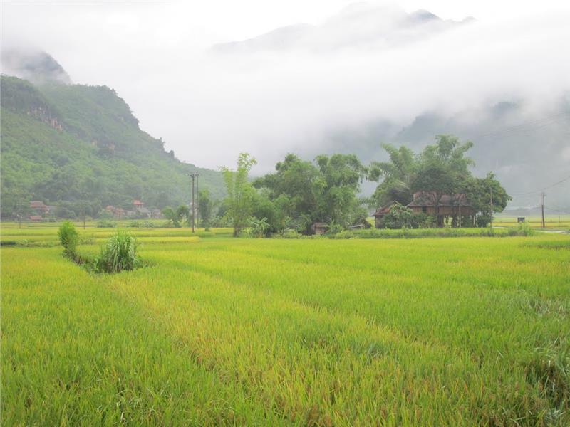 Pom Coong Village