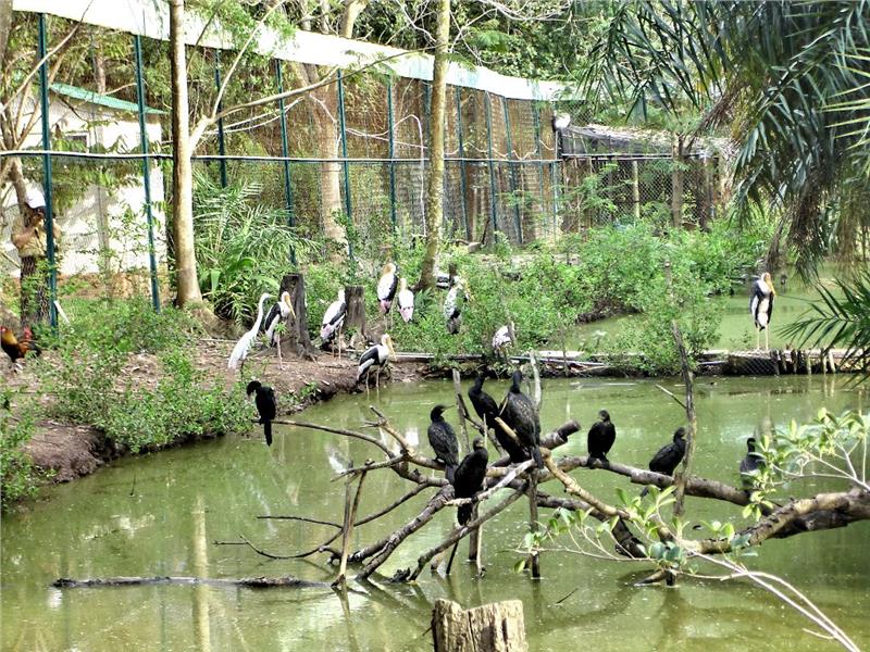 Amazing Vietnam eco tours to Southwest bird sanctuaries