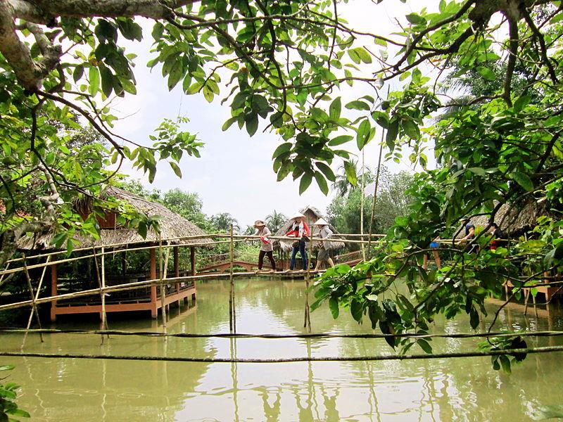 Monkey Bridge in Con Phung tourist area