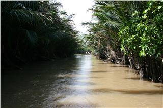 Mekong River Delta community based tourism part 2