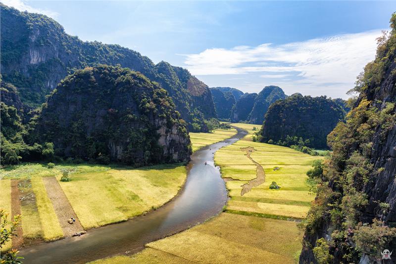 Rice Field in Tam Coc