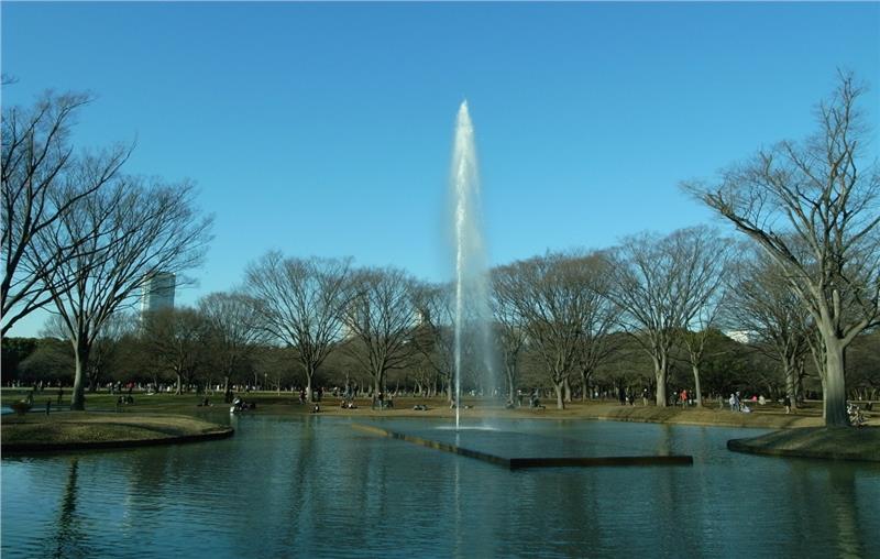 Fountain at Yoyogi Park