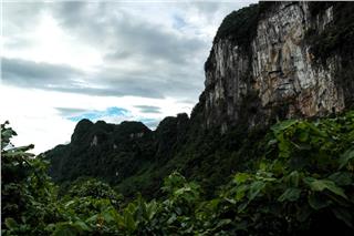 The biodiversity in Phong Nha - Ke Bang