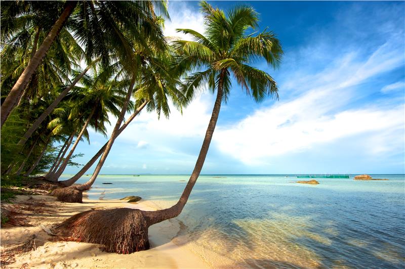 Phu Quoc Pearl Island receives a big boost in tourists