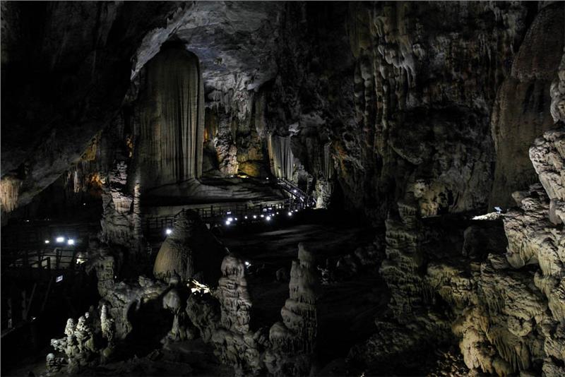 Stalagmites in Paradise Cave