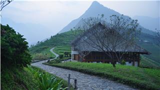 Vietnam countryside tours allure tourists