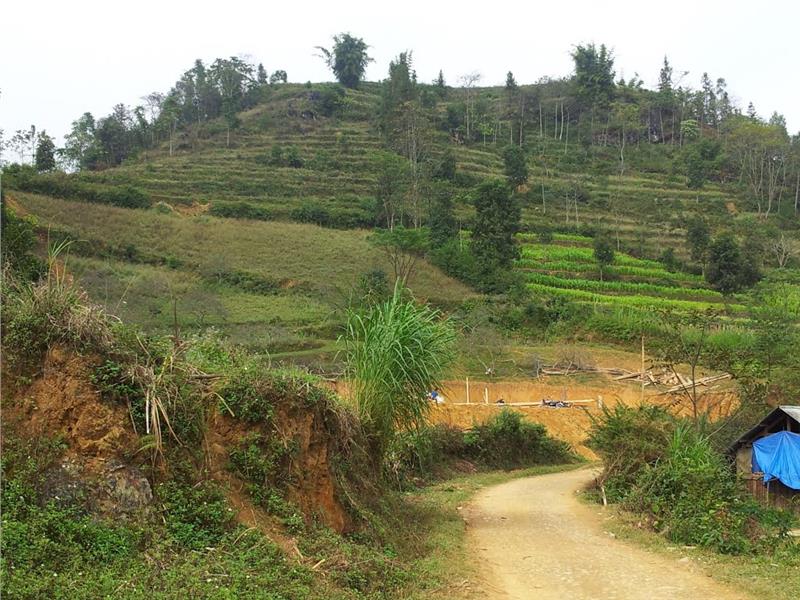 Road to Ban Pho Village