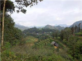 Ban Pho Village
