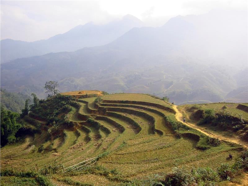 Sapa weather in spring