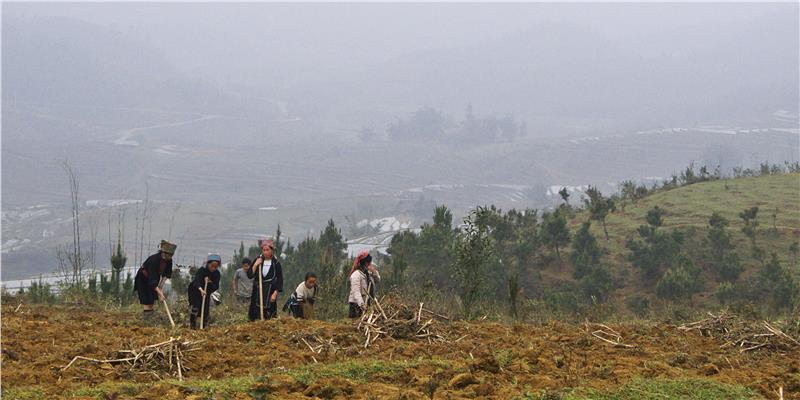 Black Hmong Women Tilling Soil, Ta Phin Valley